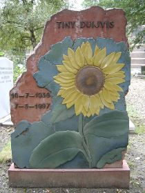 zonnebloem1.jpg